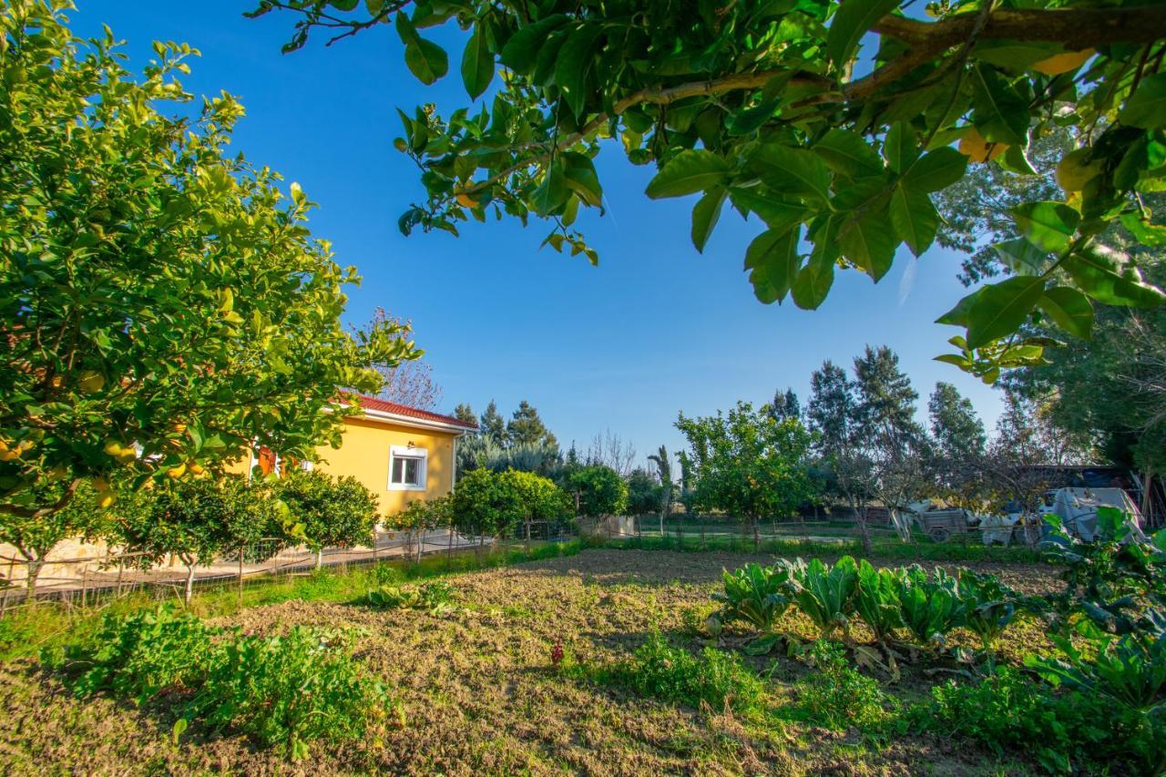Loukas Farm House Áyios Kírikos Exterior photo
