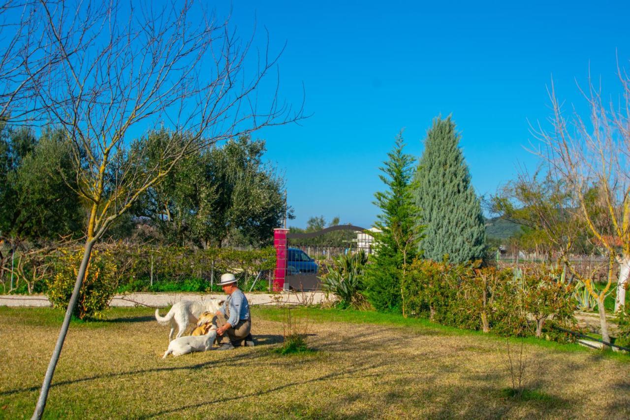 Loukas Farm House Áyios Kírikos Exterior photo