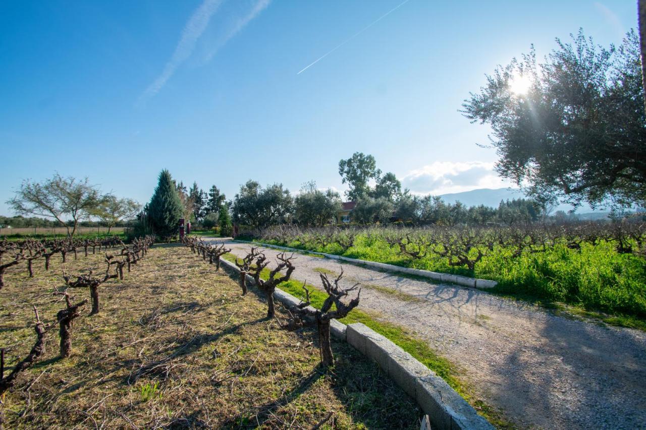 Loukas Farm House Villa Áyios Kírikos Exterior photo