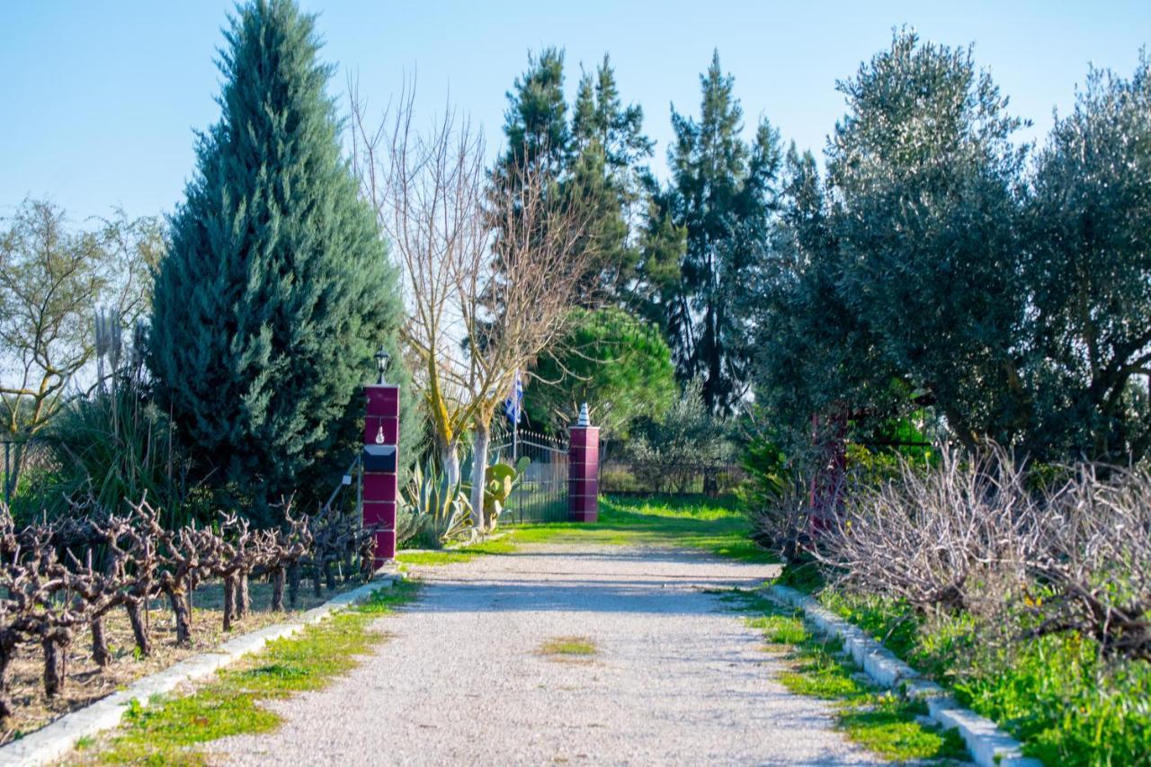 Loukas Farm House Villa Áyios Kírikos Exterior photo