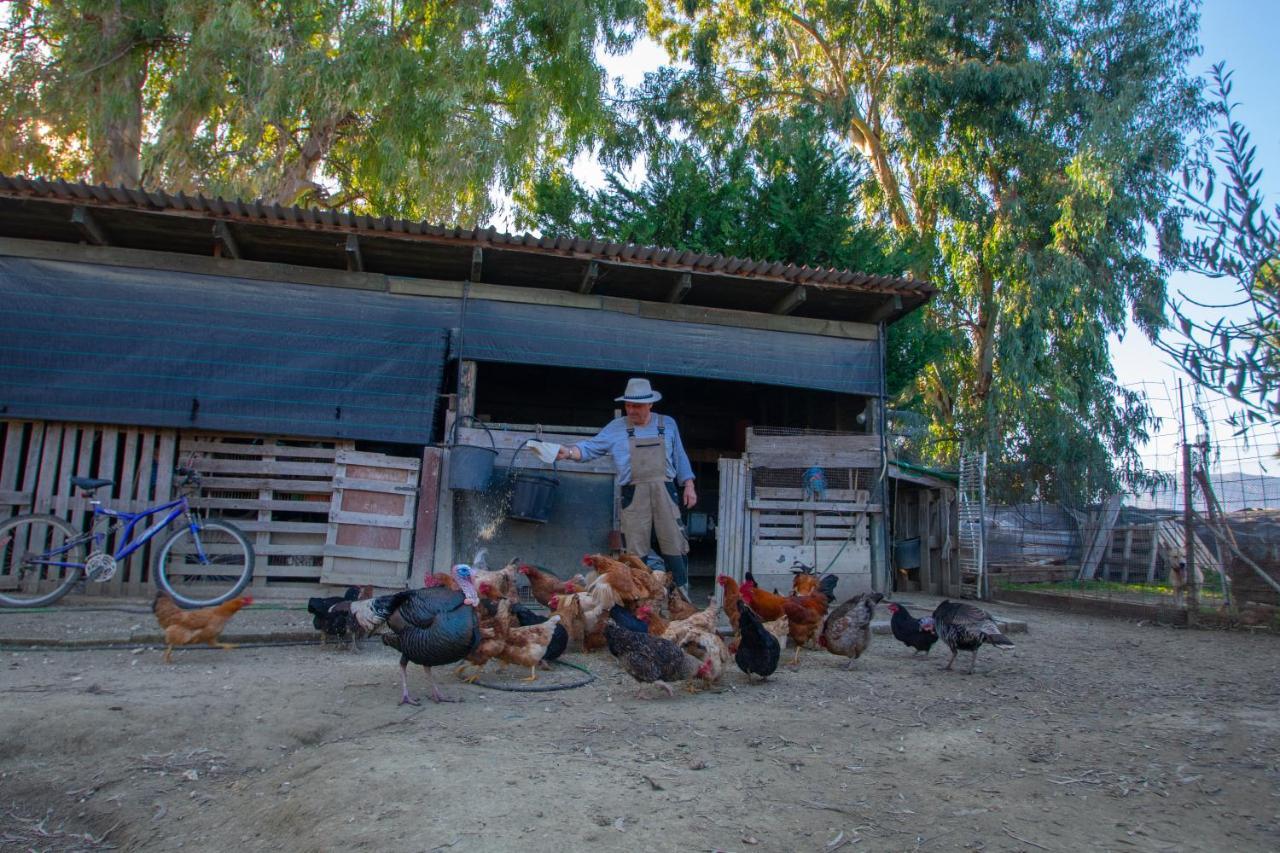 Loukas Farm House Áyios Kírikos Exterior photo
