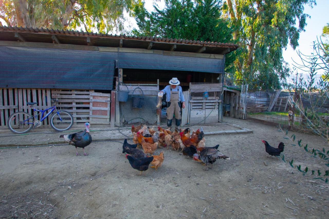 Loukas Farm House Áyios Kírikos Exterior photo