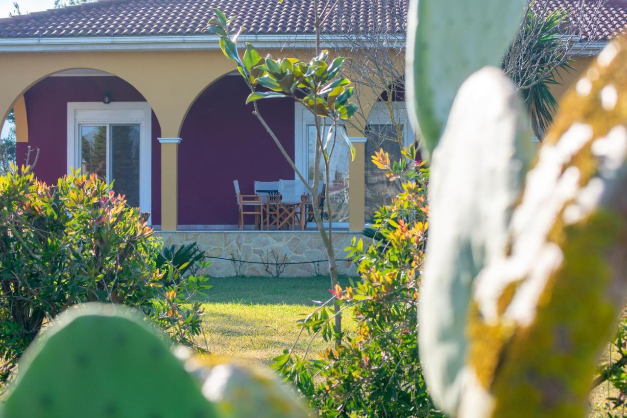 Loukas Farm House Áyios Kírikos Exterior photo